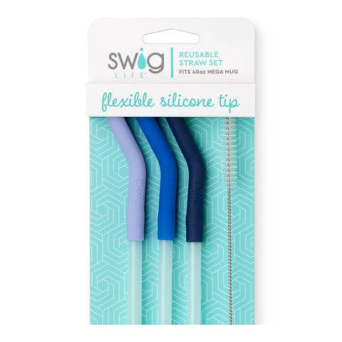 Clear + Aqua Reusable Straw Set